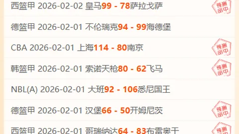 邓紫棋旧金山演唱会穿勇士球衣，现场观战篮球赛