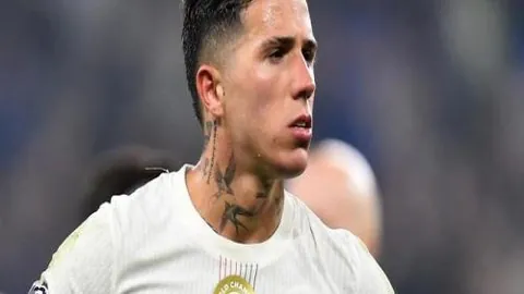 NBA公推：独行侠对战森林狼赛况分析